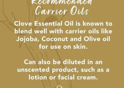 Recommended Carrier Oils